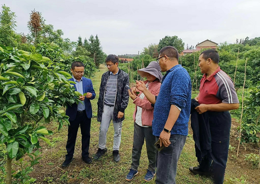 2fdfd5b964304fa2b9e1acd6b0de4e9e.Png