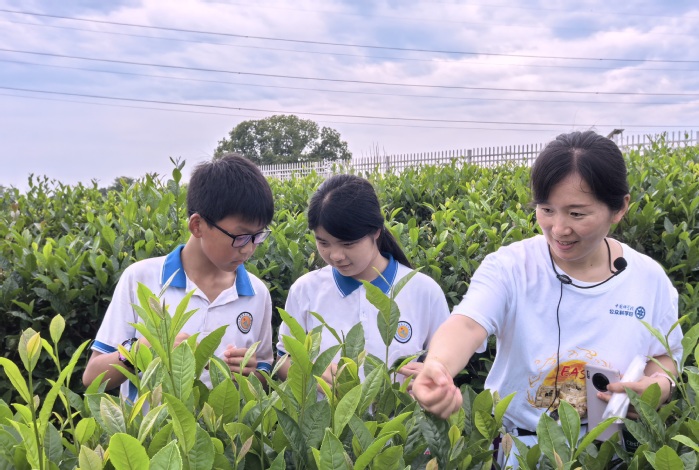 微信图片_20250519101909