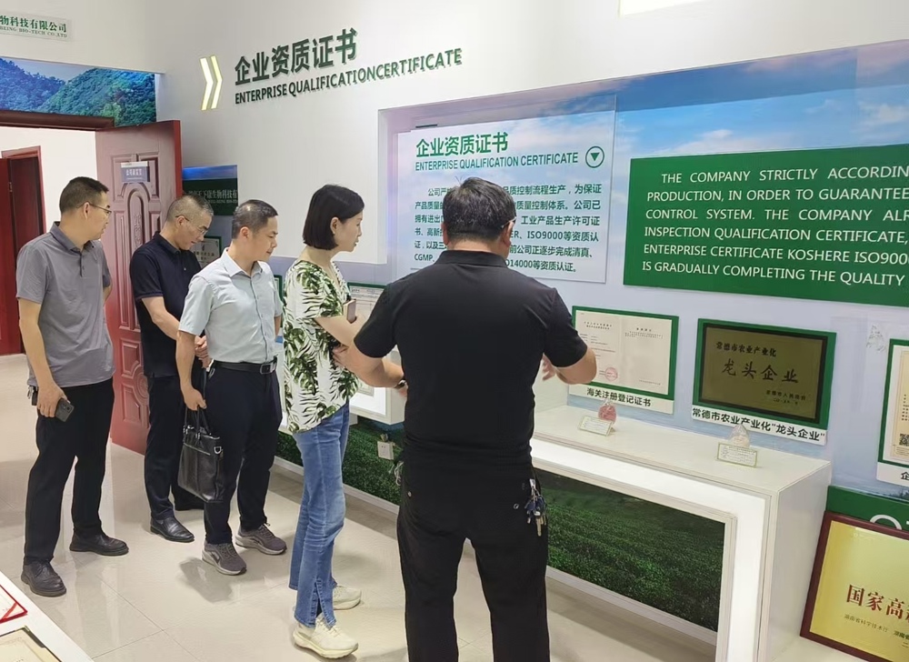王局长调研
