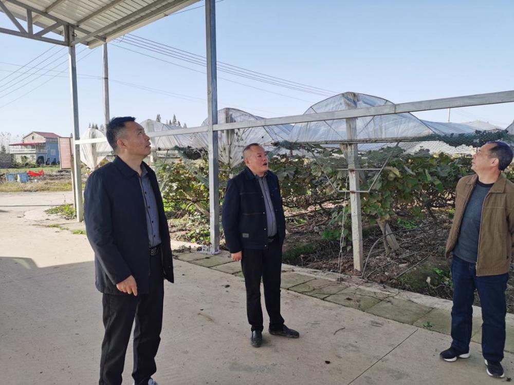 微信图片_2025-11-27_104650_903