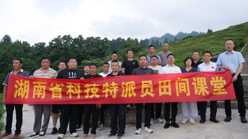 博彩平台推荐