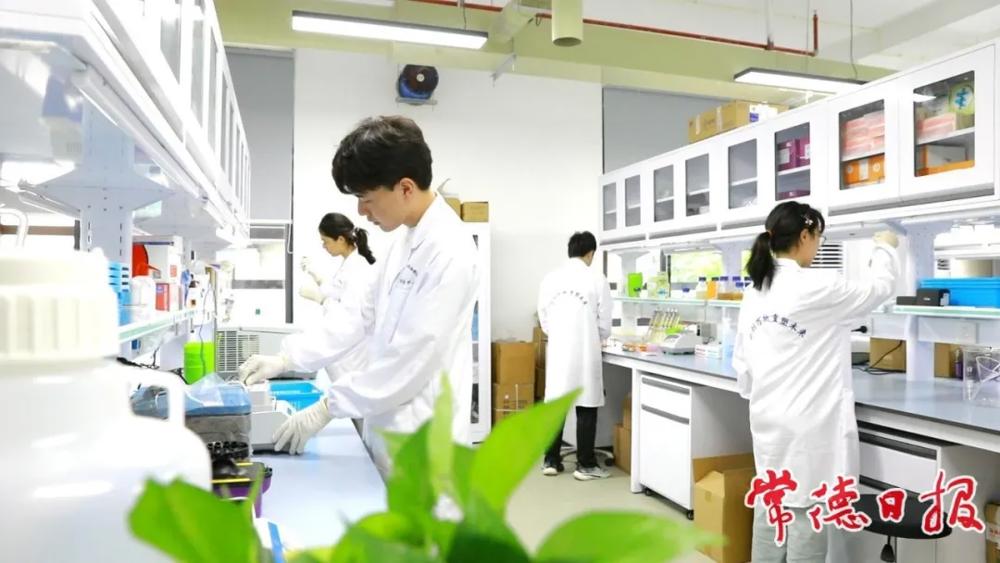 博彩平台推荐