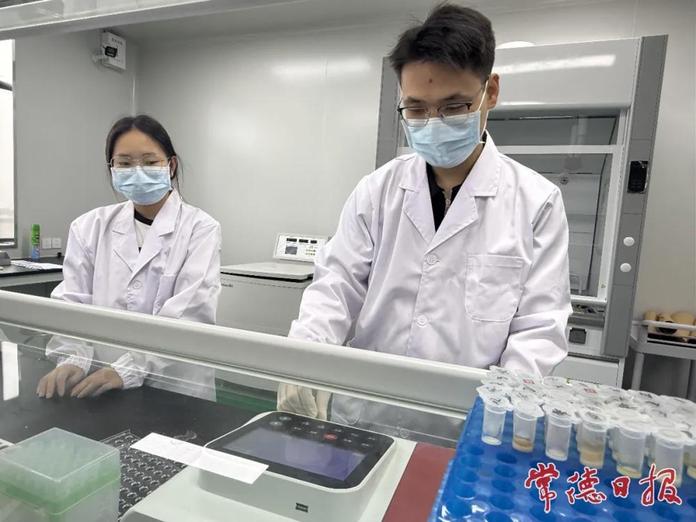 博彩平台推荐