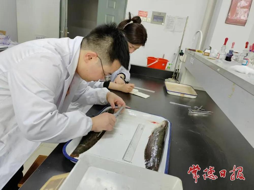 博彩平台推荐
